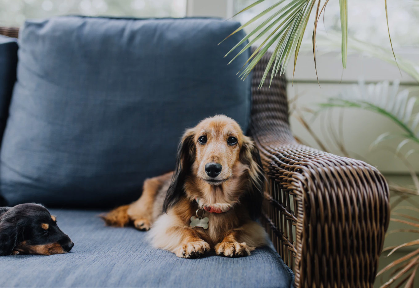 17 Storage Sofas And Sectionals For Small Spaces