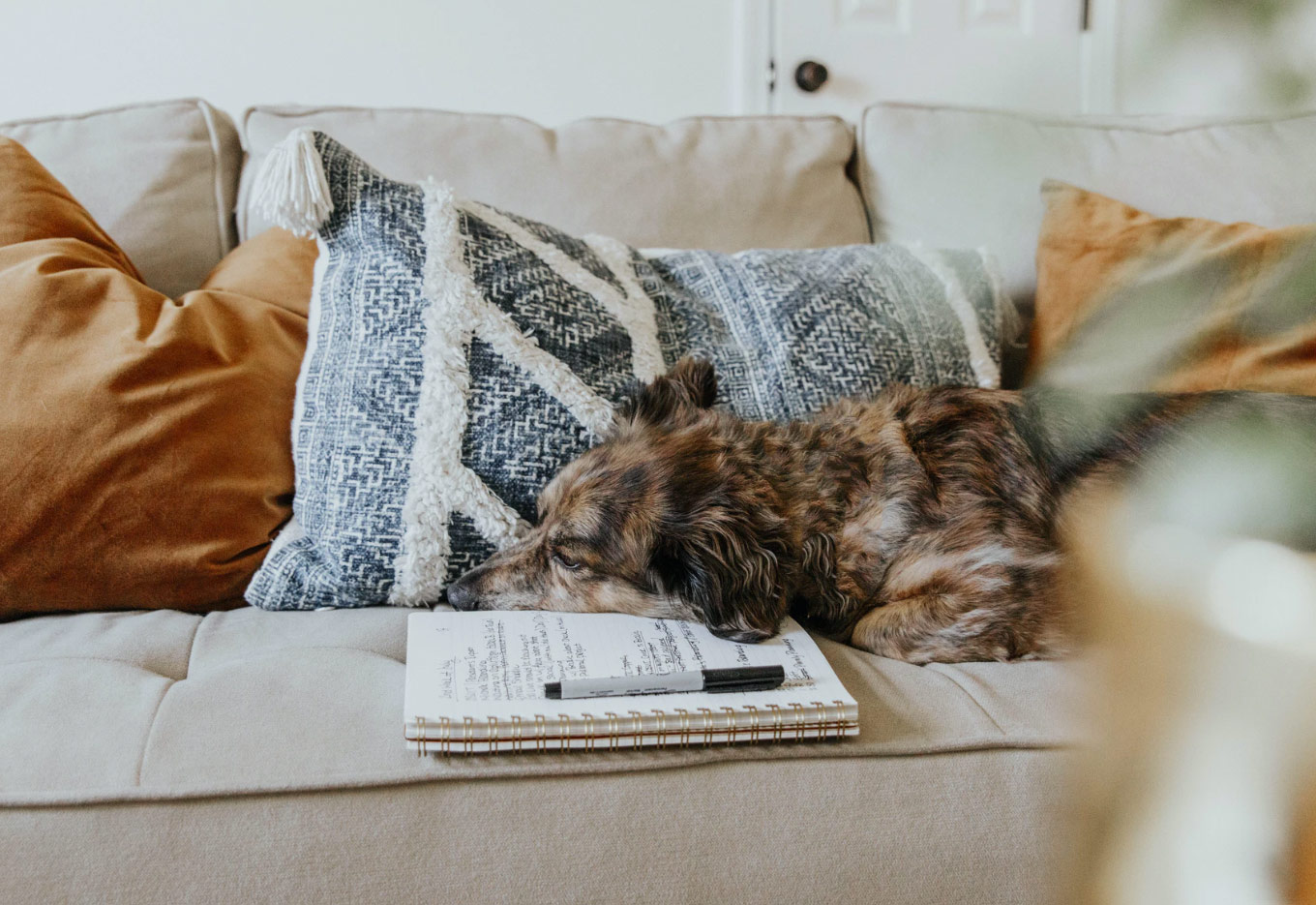 Design With a Purpose in 8 Easy Steps